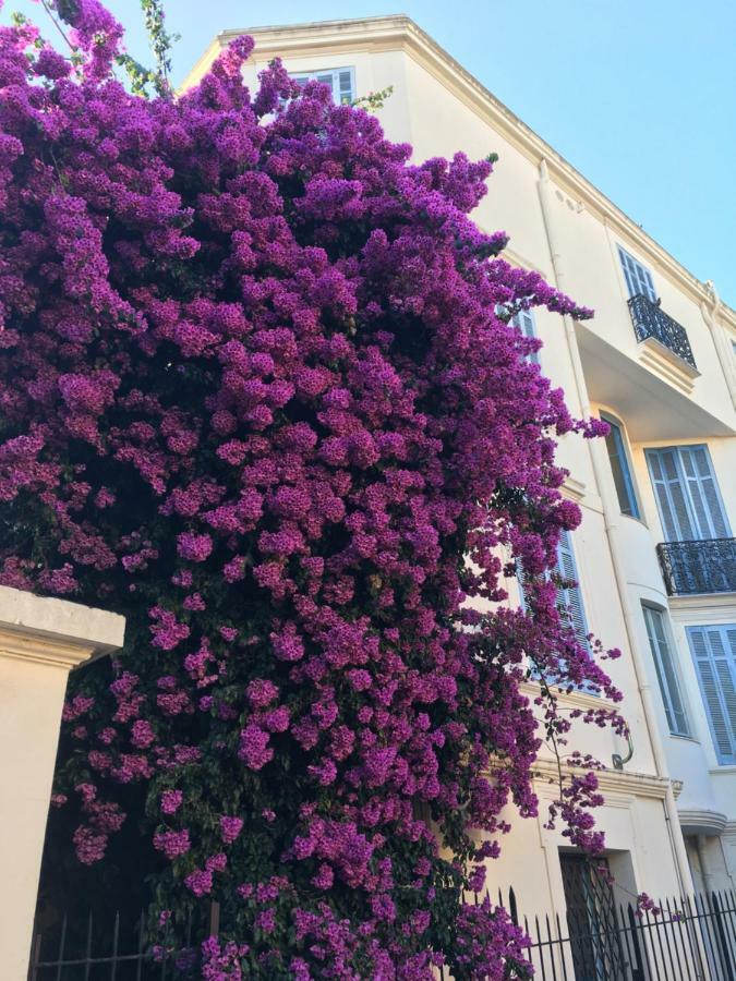 Amazing Studio Cannes Center Luaran gambar